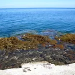 Addumari Palermo